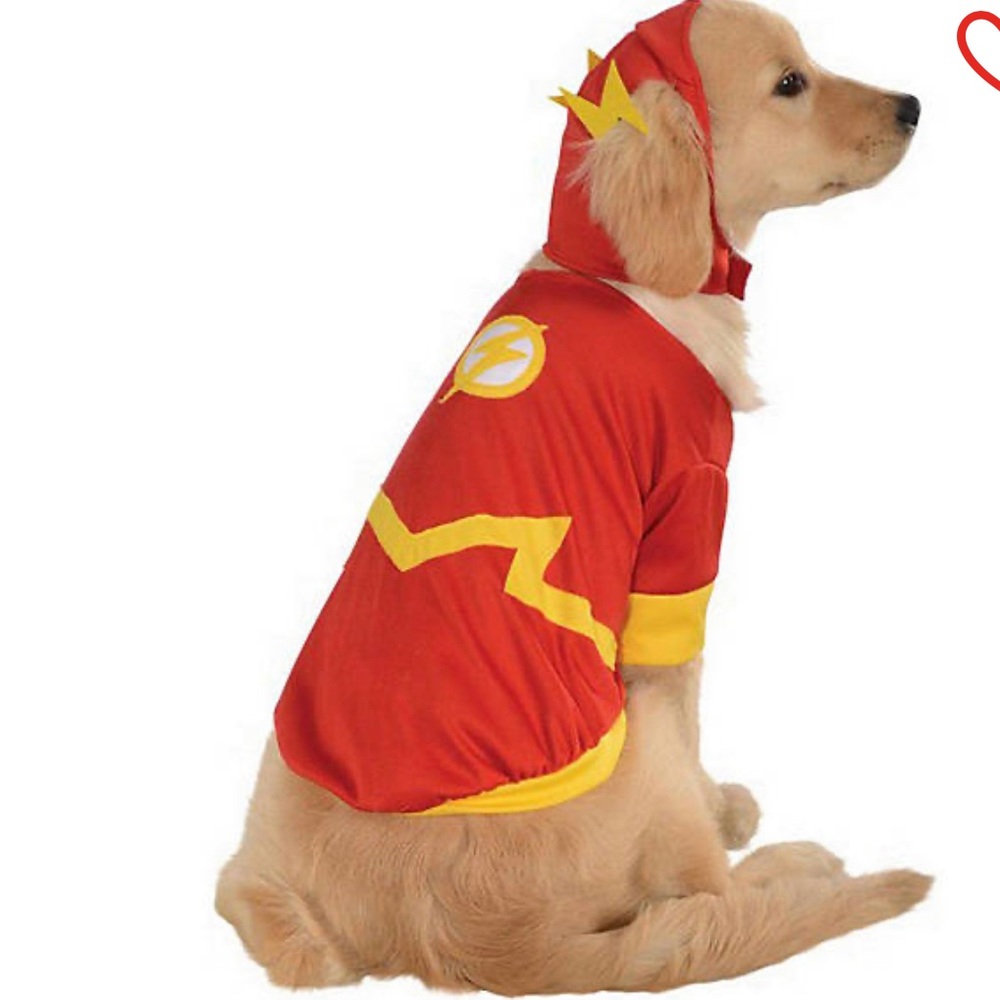 Halloween Dog costume The Flash size XL